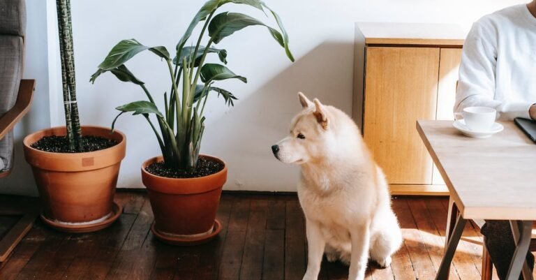 Look Here For Great Home Business Advice